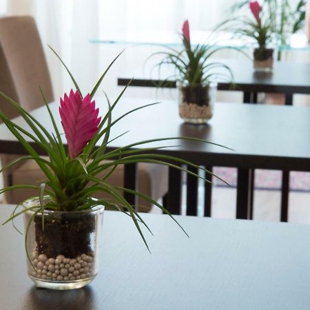 Parco Dell'Adige Rooms Verona Ngoại thất bức ảnh